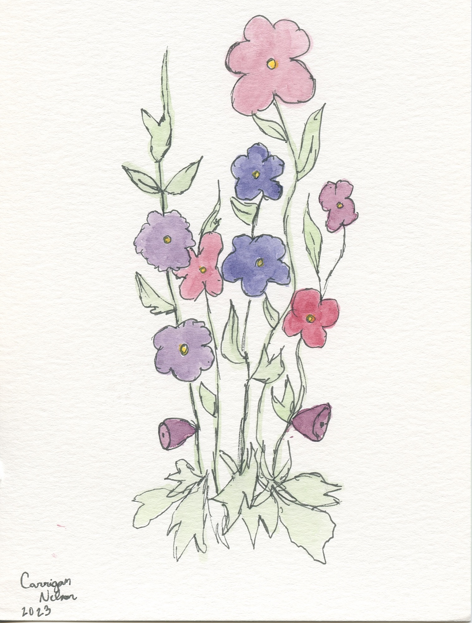 Purple and pink flowers with linework by Carrigan Nelson