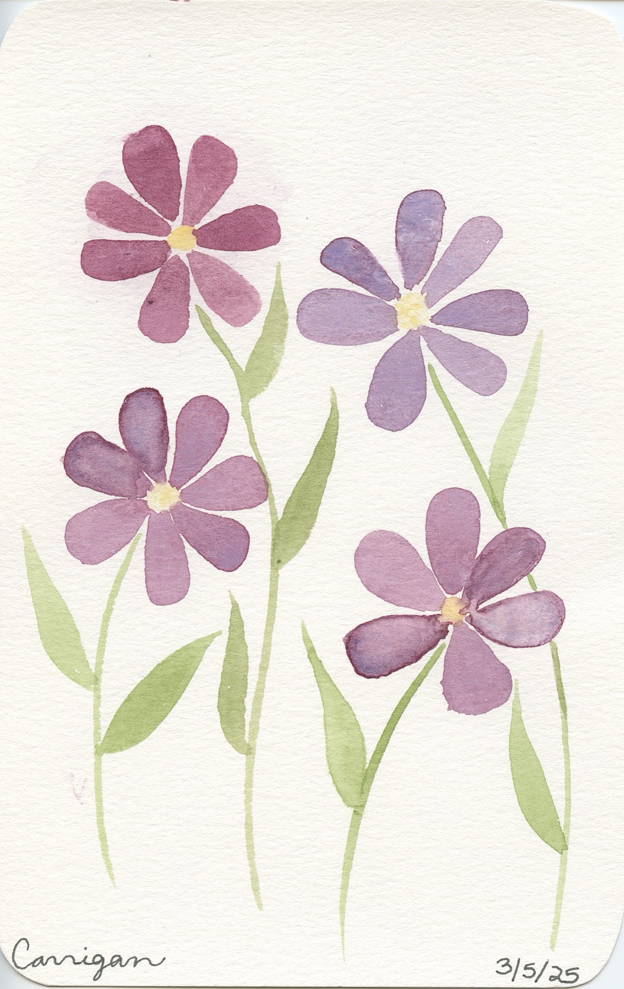 Four purple flowers by Carrigan Nelson